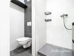 Pronájem bytu 1+kk, Praha - Michle, Mezipolí, 29 m2