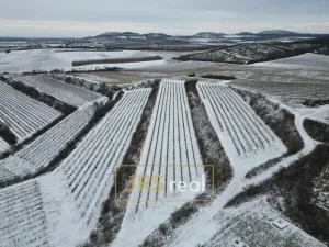 Prodej pozemku, Sedlec, 6224 m2