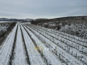 Prodej pozemku, Sedlec, 6224 m2