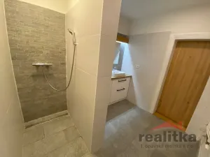 Prodej bytu 4+1, Opava - Předměstí, Olomoucká, 110 m2