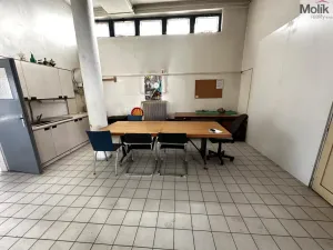 Pronájem obchodního prostoru, Příbram - Příbram VII, Bož. Němcové, 240 m2