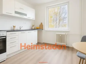 Pronájem bytu 1+1, Albrechtice, Hornická, 40 m2