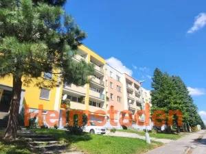 Pronájem bytu 1+1, Albrechtice, Hornická, 38 m2