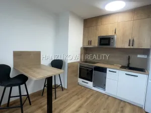 Pronájem bytu 1+kk, České Budějovice, Dobrovodská, 32 m2