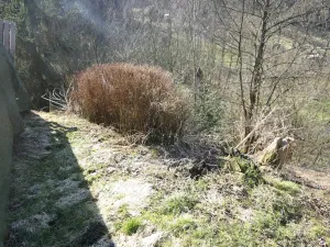 Prodej pozemku, Cetenov, 201 m2