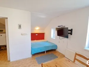 Pronájem bytu 1+kk, Kořenov, 29 m2