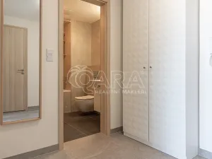 Pronájem bytu 2+kk, Praha - Žižkov, Olgy Havlové, 51 m2