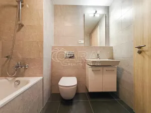 Pronájem bytu 2+kk, Praha - Žižkov, Olgy Havlové, 51 m2