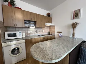 Pronájem bytu 1+kk, Třeboň - Třeboň II, U Francouzů, 28 m2