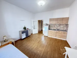 Pronájem bytu 1+kk, Praha - Žižkov, Jeseniova, 26 m2