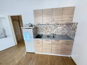 Pronájem bytu 1+kk, Praha - Žižkov, Jeseniova, 26 m2