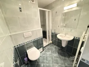 Pronájem bytu 1+kk, Praha - Žižkov, Jeseniova, 26 m2