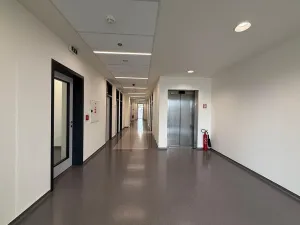 Pronájem kanceláře, Brno - Štýřice, Pražákova, 38 m2