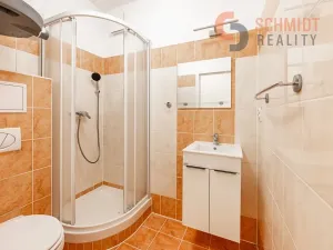 Pronájem bytu 1+kk, Břeclav, 21 m2