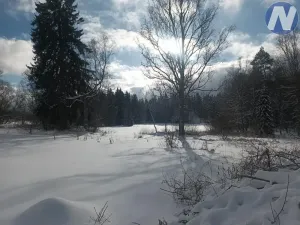 Prodej pozemku pro bydlení, Strážný, 2500 m2