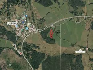 Prodej pozemku pro bydlení, Strážný, 2500 m2