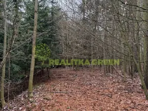 Prodej lesa, Konice, 10385 m2