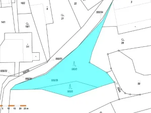 Prodej lesa, Lhotice, 1838 m2