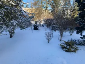 Pronájem bytu 2+1, Luštěnice, 53 m2