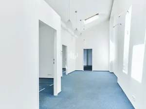 Pronájem kanceláře, Praha - Nové Město, U Bulhara, 100 m2