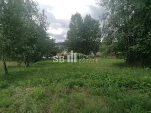 Prodej pozemku pro bydlení, Borová, 1405 m2