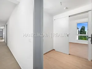 Pronájem bytu 1+kk, České Budějovice, Hálkova, 24 m2