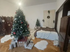 Pronájem bytu 4+1, Olomouc, tř. Svobody, 110 m2