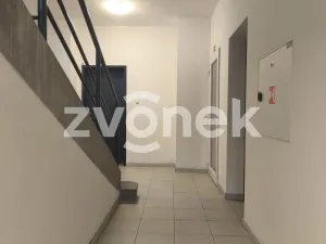 Pronájem bytu 2+kk, Holešov, Palackého, 55 m2