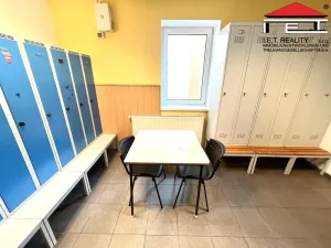 Pronájem skladu, Ostrava, Sokolská třída, 181 m2