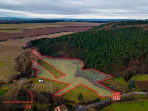 Prodej pozemku pro bydlení, Plasy - Babina, 7000 m2