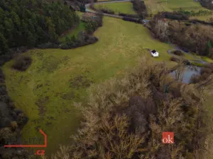 Prodej pozemku pro bydlení, Plasy - Babina, 7000 m2