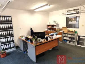 Prodej rodinného domu, Znojmo, Velká Michalská, 326 m2