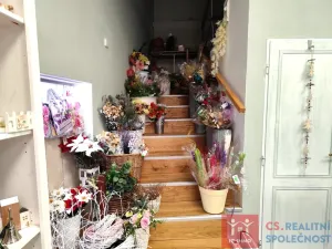 Prodej rodinného domu, Znojmo, Velká Michalská, 326 m2