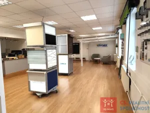 Prodej rodinného domu, Znojmo, Velká Michalská, 326 m2