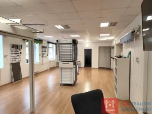Prodej obchodního prostoru, Znojmo, Velká Michalská, 326 m2