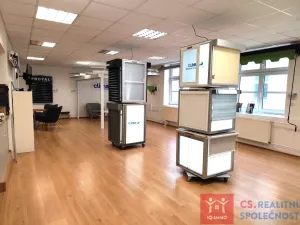 Prodej obchodního prostoru, Znojmo, Velká Michalská, 326 m2