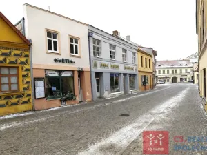Prodej obchodního prostoru, Znojmo, Velká Michalská, 326 m2