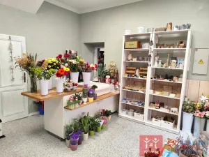 Prodej obchodního prostoru, Znojmo, Velká Michalská, 326 m2