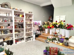 Prodej obchodního prostoru, Znojmo, Velká Michalská, 326 m2