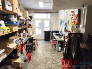 Prodej obchodního prostoru, Znojmo, Velká Michalská, 326 m2