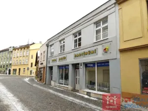 Prodej obchodního prostoru, Znojmo, Velká Michalská, 326 m2