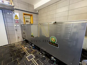 Prodej ubytování, Letiny, 646 m2