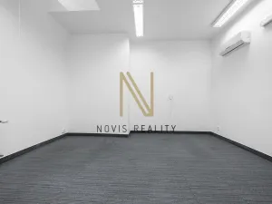 Pronájem kanceláře, Plzeň, Americká, 165 m2