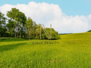 Prodej pozemku pro bydlení, Hořice na Šumavě, 975 m2