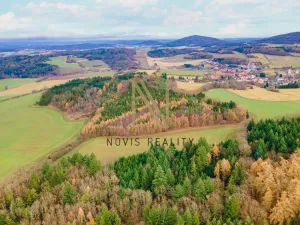 Prodej lesa, Chudenice, 7475 m2