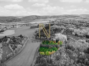 Prodej lesa, Chudenice, 7475 m2