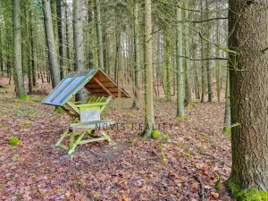 Prodej lesa, Chudenice, 7475 m2