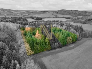 Prodej lesa, Chudenice, 7475 m2