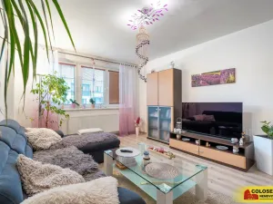 Prodej rodinného domu, Hrušovany nad Jevišovkou, 142 m2