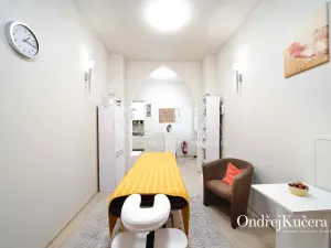 Prodej ordinace, Praha - Vinohrady, Soběslavská, 26 m2